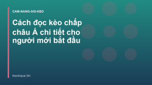 Read more about the article Cách đọc kèo chấp châu Á chi tiết cho người mới bắt đầu