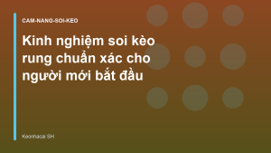 Read more about the article Kinh nghiệm soi kèo rung chuẩn xác cho người mới bắt đầu
